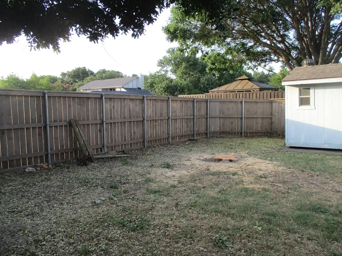Cleared yard after professional tree removal in Sand Lake